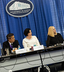 Coordinating Council of Juvenile Justice and Delinquency Prevention Panel