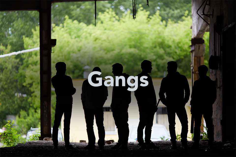Gangs on background of shadowed group of individuals