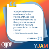 Youth Justice Action Month Liz Ryan quote