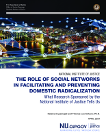 NCJ Number 305795 thumbnail NCJ Number 305795 thumbnail image