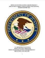 NCJ Number 310083 Thumbnail