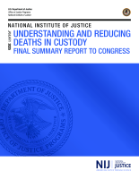 NCJ Number 310060 thumbnail  NCJ Number 310060 thumbnail image