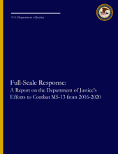 NCJ Number 311017 Thumbnail